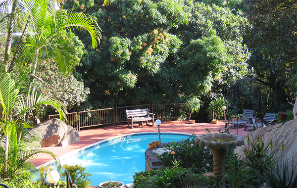A view of the swimming pool