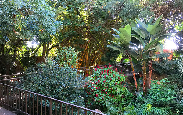 A side view of the tranquil garden