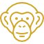 Chimp icon
